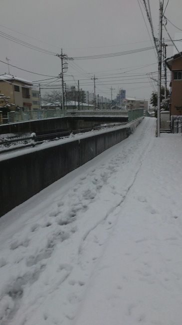 20130114 大雪.jpg